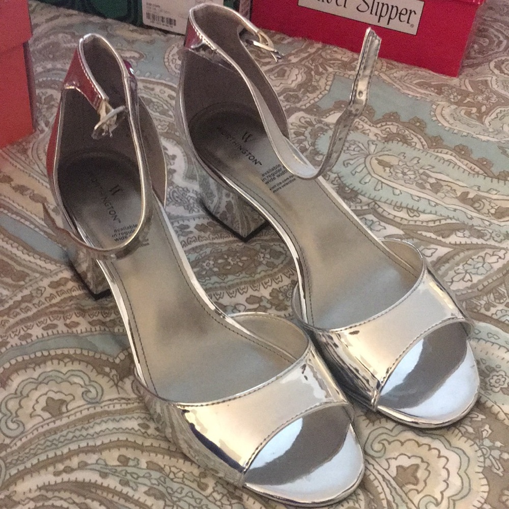 Silver Shine - image 1